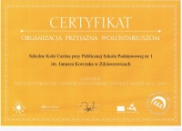 Organizacja przyjazna wolontariuszom